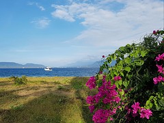 Aan de overkant ligt Bali
