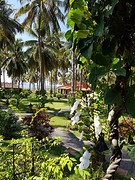 Indah hotel in Ketapang. Uitzicht vanuit de eetzaal.
