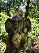 Monkey Forest Ubud