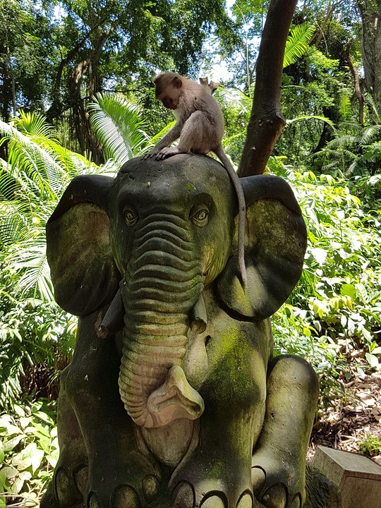 Monkey Forest Ubud