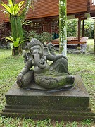 Elephant safari park Taro