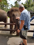 Elephant safari park Taro