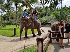 Elephant safari park Taro