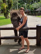 Elephant safari park Taro