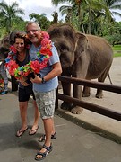 Elephant safari park Taro