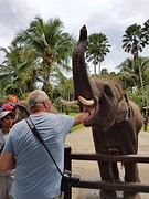 Elephant safari park Taro