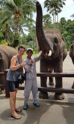 Elephant safari park Taro