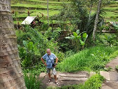Rijstvelden Tegallalang Bali