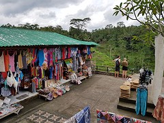 Rijstvelden Tegallalang Bali