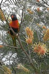 IMG_20190921_101222