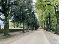 De weg over de muur