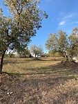 De camping