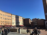 Piazzo del Campo