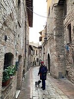 Assisi