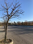 Op het parkeerterrein van het klooster mocht ik overnachten. Plek zat!