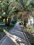 Fietspad door het park  bij de haven van Malaga