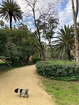 Gilles geniet van het park