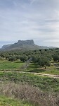 Via verde del aceite