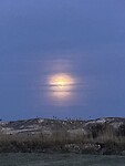 De maan bij Orce