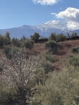 Sneeuw op de Sierra Nevada