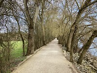 Fietspad tussen weiland en rivier