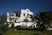 Het tijdelijke huis