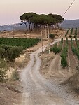 Fietsend in de omgeving van Sant Marti Sarroca