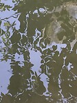 Spiegelend water