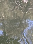 Vervormde spiegeling
