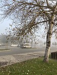 Ochtendmist