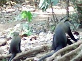 IMG_20130126_111014