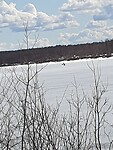 Ijsvissen