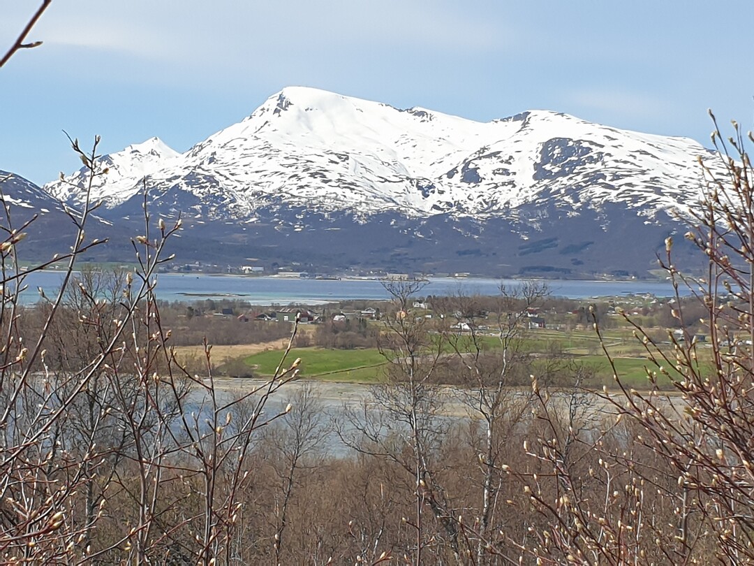 Vesteralen