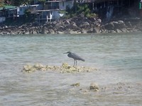 DSCN7018