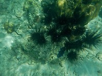 DSCN7014