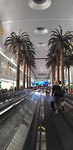 IMG-20190917-WA0039