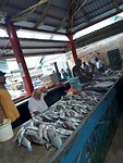 IMG-20190917-WA0043