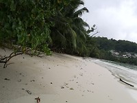 IMG-20190918-WA0127