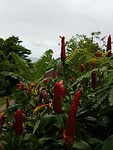 20190918_125232