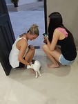 IMG-20190918-WA0114