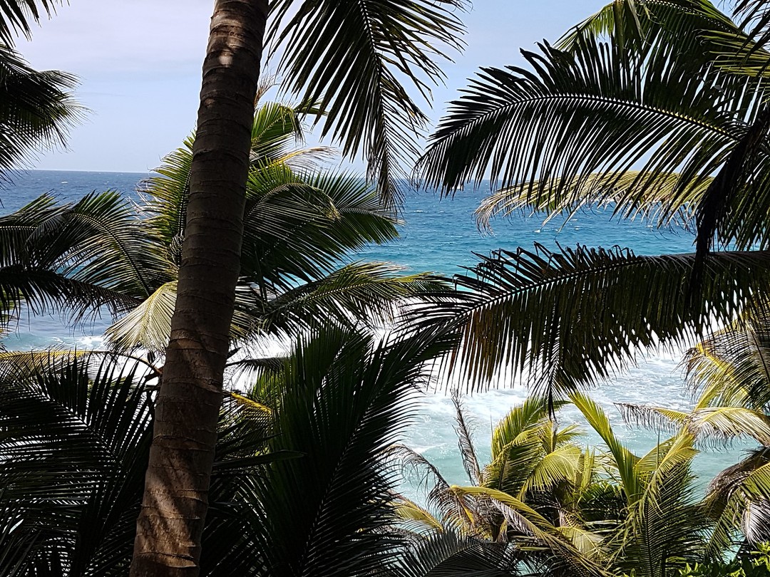 20190920_105948