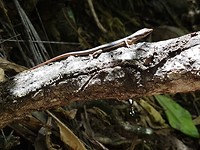 20190920_105820