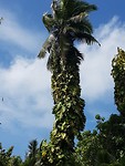 20190920_101200