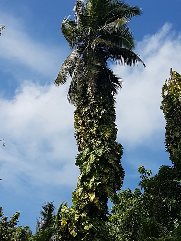 20190920_101200