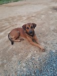 IMG-20190920-WA0183