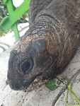 IMG-20190921-WA0066