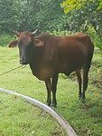 20190922_131734