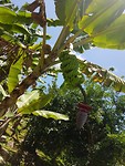 20190922_115759
