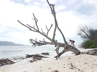 20190922_095909