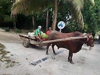 IMG-20190923-WA0118